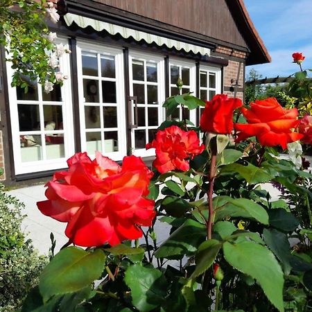 Ferienhaus Gartower See Dış mekan fotoğraf