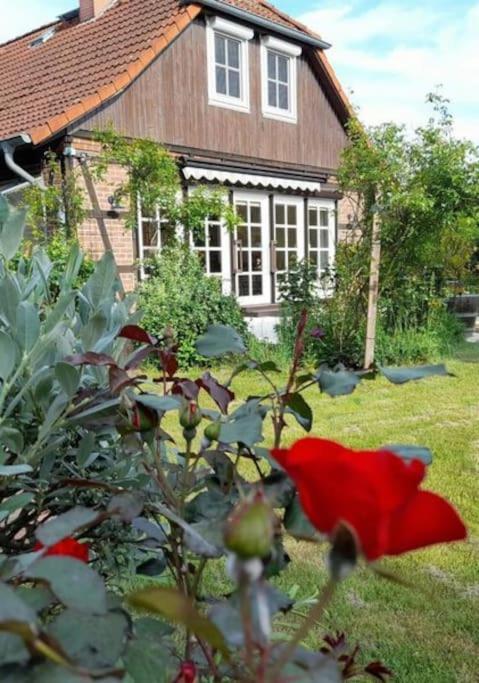 Ferienhaus Gartower See Dış mekan fotoğraf