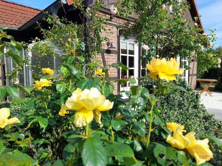 Ferienhaus Gartower See Dış mekan fotoğraf