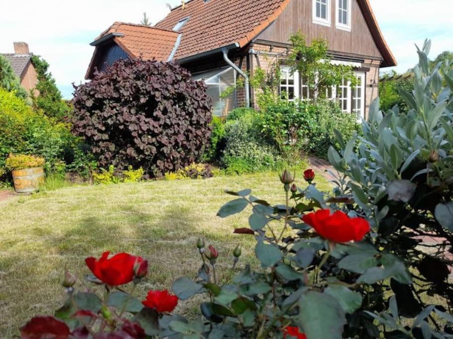 Ferienhaus Gartower See Dış mekan fotoğraf