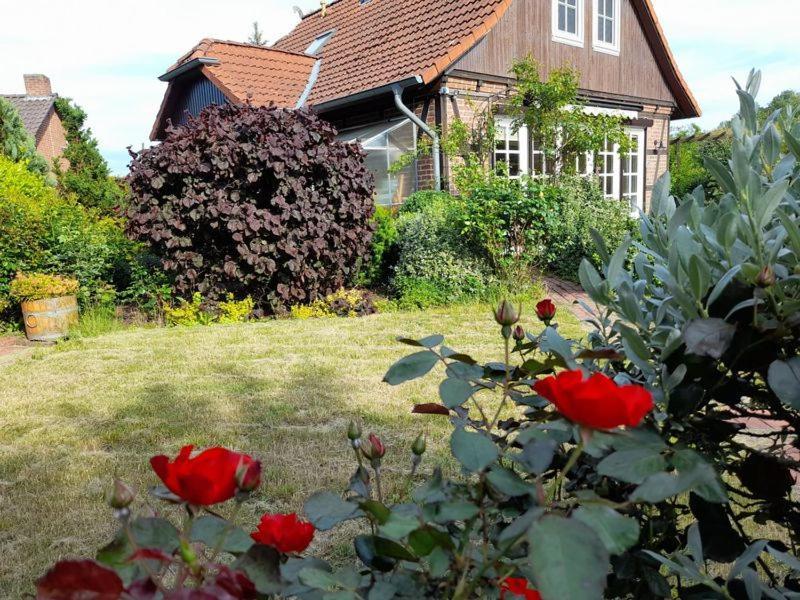 Ferienhaus Gartower See Dış mekan fotoğraf