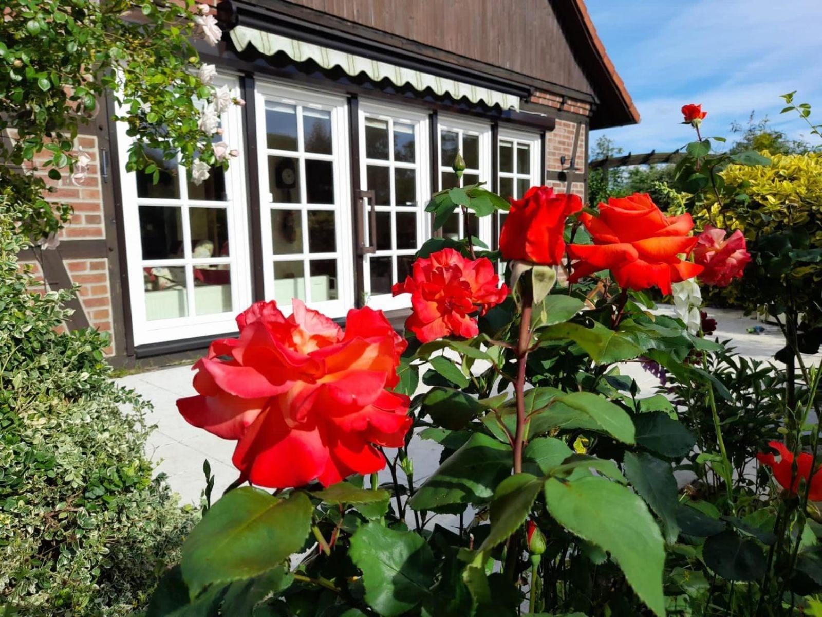 Ferienhaus Gartower See Dış mekan fotoğraf